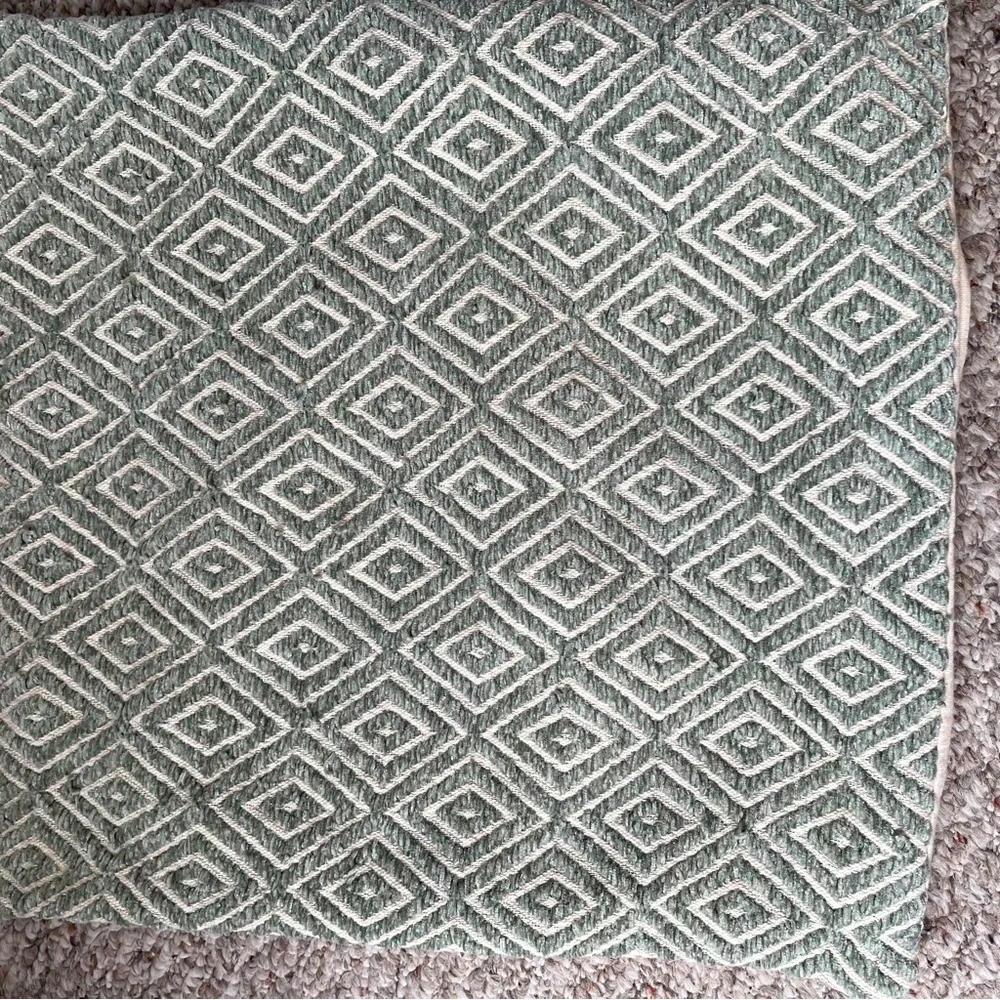 Pier 1 Pillow Cover Sage 17x17